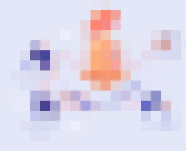 足彩网